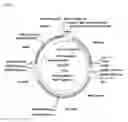 Fig. 06 - System and methods for detecting ribosome inhibition