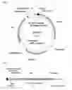 Fig. 12 - System and methods for detecting ribosome inhibition