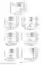 Fig. 02 - Biomarkers for determining the clinical response to cell therapy