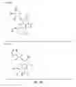 Fig. 07 - Methods of Detection of Antibiotic-Resistant Bacteria