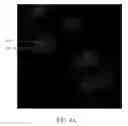 Fig. 13 - Protein-protein interaction as biomarkers