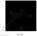Fig. 14 - Protein-protein interaction as biomarkers