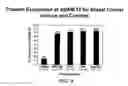 Fig. 07 - METHODS FOR DIAGNOSIS AND PROGNOSIS OF CANCERS OF EPITHELIAL ORIGIN