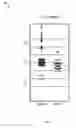 Fig. 02 - SYSTEM AND METHOD FOR DETERMINING RISK OF DIABETES BASED ON BIOCHEMICAL MARKER ANALYSIS