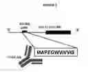 Fig. 02 - BIOMARKER FOR CARDIAC DISORDERS