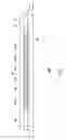 Fig. 08 - Current sensor