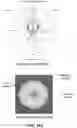 Fig. 37 - Apparatus and methods for sensing rainfall