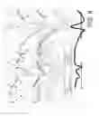 Fig. 12 - Methods and approaches for geomechanical stratigraphic systems
