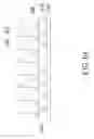 Fig. 09 - Limiting Viewing Angle Sheet and Manufacturing Method Thereof