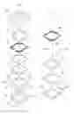 Fig. 01 - Integrated structure of auto focus and optical image stabilizer mechanisms