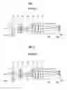 Fig. 02 - Imaging lens and optical apparatus