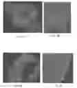 Fig. 08 - Systems and methods for calibrating a structured illumination imaging system and for capturing a structured illumination image