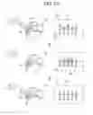 Fig. 10 - HEAD MOUNTED DISPLAY