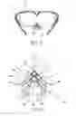 Fig. 07 - Nose bracket structure for glasses