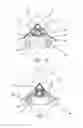 Fig. 08 - Nose bracket structure for glasses