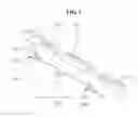 Fig. 08 - Display device having a protection member