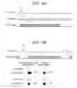 Fig. 07 - IMAGE FORMING APPARATUS