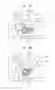 Fig. 02 - Image forming apparatus