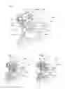 Fig. 02 - Timepiece mechanism for bidirectional correction of a plurality of displays