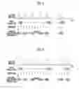 Fig. 05 - Semiconductor memory device and method for operating the same