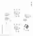 Fig. 12 - Differencing of executable dataflow graphs