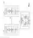 Fig. 03 - Optimizing memory mapping(s) associated with network nodes
