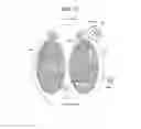 Fig. 16 - Streakline visualization apparatus and method