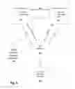 Fig. 16 - BLOOD TRACKING AND DELIVERY DEVICES AND METHODS