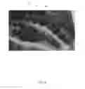 Fig. 09 - Methods and systems for automatic object detection from aerial imagery