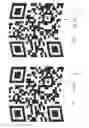 Fig. 09 - Two dimensional barcode