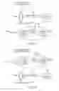 Fig. 08 - SYSTEMS AND METHODS FOR A PRIVATE SECTOR MONETARY AUTHORITY