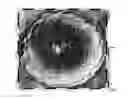 Fig. 01 - Omnidirectional roughness algorithm for topographic signature analysis of lunar craters