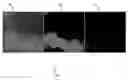 Fig. 01 - Synthesizing training data for broad area geospatial object detection