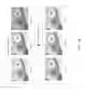 Fig. 26 - Image calibration for skin lesions