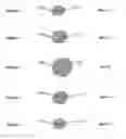 Fig. 06 - Determination of enhancing structures in an anatomical body part
