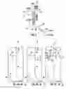 Fig. 03 - Pressure driven fluidic injection for chemical separations by electrophoresis