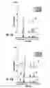 Fig. 17 - Pressure driven fluidic injection for chemical separations by electrophoresis