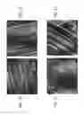 Fig. 02 - Method for ALD deposition on inert surfaces via Al2O3 nanoparticles