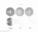 Fig. 09 - Gallium arsenide substrate comprising a surface oxide layer with improved surface homogeneity
