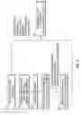 Fig. 10 - Object detection system