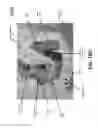 Fig. 31 - Pad raising mechanism in wafer positioning pedestal for semiconductor processing