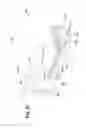 Fig. 04 - THERMAL MITIGATION CONTROL RETAINING CLIP