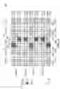 Fig. 09 - Strapping structure of memory circuit
