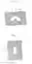 Fig. 06 - Semiconductor devices including support patterns