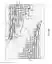 Fig. 31 - Three-dimensional devices with wedge-shaped contact region and method of making thereof