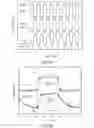 Fig. 21 - THIN FILM TRANSISTOR AND METHOD FOR MAKING THE SAME