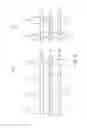 Fig. 06 - Method of forming a semiconductor device having impurity region