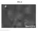 Fig. 07 - TRANSPARENT PHOTOELECTRIC ELEMENT AND METHOD FOR FABRICATING THE SAME