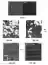 Fig. 04 - Planar aligned nanorods and liquid crystal assemblies
