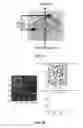Fig. 14 - Planar aligned nanorods and liquid crystal assemblies